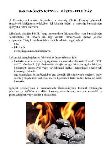 BARNAK?SZÉN IGÉNYFELMÉRÉS plakát-page0001